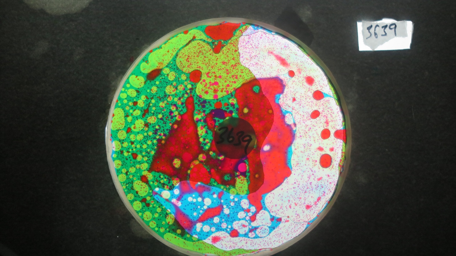 BV3639 bubble vision oil wheel